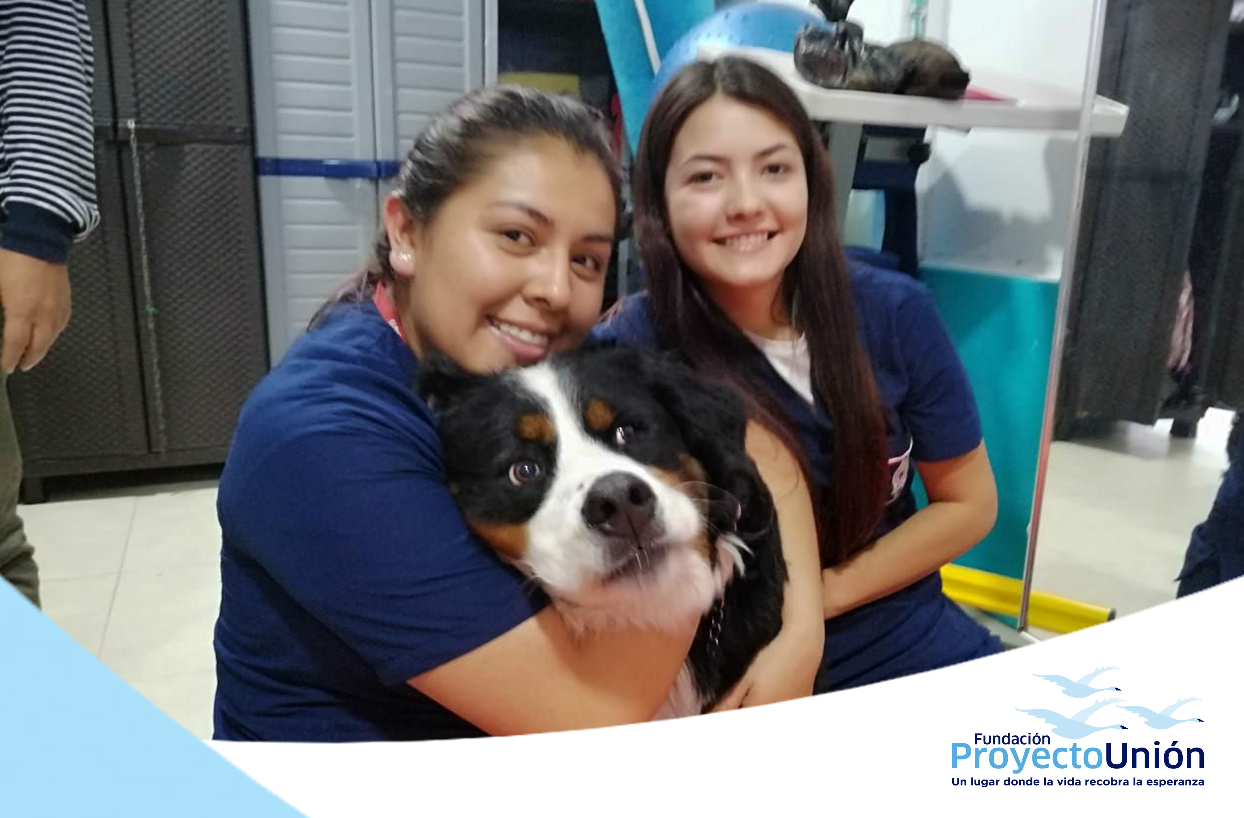 ACTIVIDADES ASISTIDAS CON ANIMALES