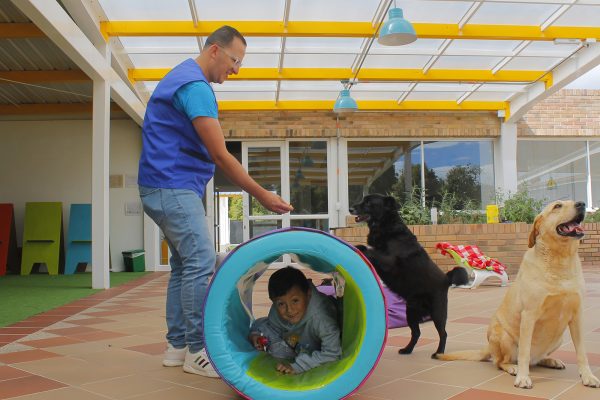 perritos-de-mar-002